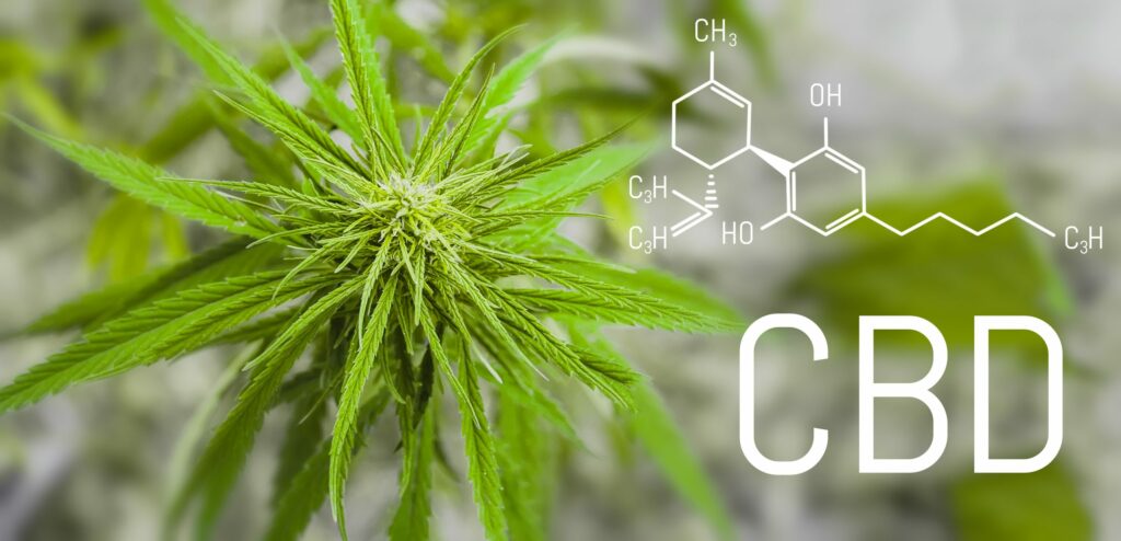 What Is CBD? - CBD Facts & Education - CBD.Co